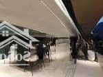 Biệt thự phố ngay kinh đô thời trang lê văn sỹ p1 tân bình - 139m2 (8x18m) 4 tầng (sân vườn). 24 tỷ