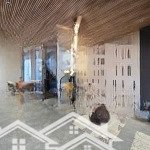 Bề thế: ngang 7m ! nhà 5t+thang máy - huỳnh văn bánh, phú nhuận, hdt: 70tr chỉ 21.9 tỷ, o902323354