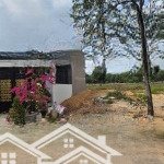 Chủ gửi bán lô đất 150m2 shr nằm mặt đường nl15a thới hoà thuận tiện kinh doanh kdc đông đúc