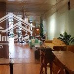 Cho thuê biệt thự lô góc 2 mặt tiền tại kđt mễ trì hạ -dt khủng -phù hợp mọi loại hình kinh doanh