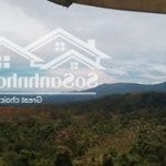 Bán đất tại quốc lộ 28, đắk som, dăk glong, đắk nông, 6,8 triệu / m2, 1599 m2