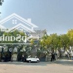 Biệt thự bt08 kdt việt hưng, 4 tầng thang máy siêu hiếm, full nội thất, 235m2 - mt 13.5m