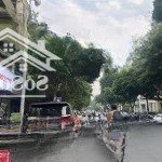 (hiếm) bán nhà mặt phố phan chu trinh - hoàn kiếm, kinh doanh, vỉa hè 6m, 33m2 x 6 tầng, 38 tỷ