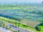 Sở hữu ngay căn biệt thự đơn lập view sông tự nhiên belhomes hải phòng - ngay chân cầu nguyễn trãi