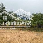 Chính chủ cần bán 825m2 100m2 thổ cư view cao thoáng, giá chỉ hơn 2 tỷ