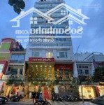 Siêu phẩm! tòa nhà ngay trần hưng đạo q1 - dt 8x20m - hầm + 9 tầng - hđt 350 triệu - giá chỉ 99 tỷ