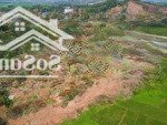 Bán đất các huyện lạc thủy, yên thủy, lạc sơn - hòa bình. dt từ 120m2, sổ hồng, giá chỉ từ 200tr/lô