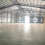 Xưởng bàu bàng 3000m vp bên trong . pccc tự động điện 450kva . sx nhiều ngành nghề. đường xe cont