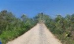 Bán đất ngay trung tâm xã hòa nam giá đầu tư