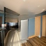 Cho thuê căn hộ cao cấp tại sunrise riverside 12 triệu