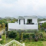Tropical garden vùng trũng về giá. đơn giá chỉ 50tr/m2 hỗ trợ lãi suất 0%/18 tháng