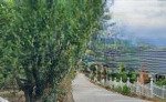 Chỉ từ 5xx tr đã sở hữu đất nghỉ dưỡng vùng ven đà lạt sổ riêng