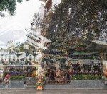 Cho thuê nhà mặt phố nguyễn hoàng, dt 140m2, mt 9m giá phố cực đông dân, sinh viên, kd mọi mô hình
