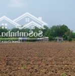 Ngộp bán gấp 885m2 có thổ cư - shr giá 660tr, dân ở đông đúc, cách chợ 700m. gọi 0903263878 xem sổ