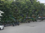 Cho thuê siêu phẩm thái hà đống đa cho các chuỗi thương hiệu lớn. mọi mô hình kd. 300m2 2t mt 10m
