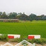 Siêu phẩm view cánh đồng đẹp đứng ở đất nhìn ra đường tỉnh lộ tại thôn 6-ba trại-ba vì-hà nội