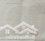 Chính chủ cần bán 145,9m2 trục chính hoàng trạch - mễ sở đối diện đường vành đai 4