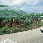 Bán đất tại gia tân 1, thống nhất, đồng nai, 2,5 tỷ, 130m2 giá tốt uy tín