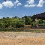 Bán đất sào 1100m2, ngang 34m đường hiện hữu, xã hưng thịnh