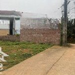 Bán đất 102m2, 550 triệu tại tiên kiên, lâm thao, phú thọ