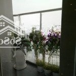 Cần bán căn scenic 1 3pn, q.7 giá cực tốt.liên hệ 0903656573 lý trần
