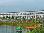 Bán đất nền dự án the sol city, dt 90m2, cần giuộc, long an
