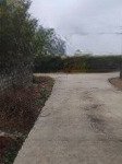 Bán 300m2 đất tại tdp giáp hạ, giá đầu tư rẻ như cho. lh 0962379196