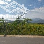 Bán đất mặt tiền tỉnh lộ 2, trung tâm diên thọ, diên khánh, khánh hòa.