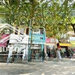 Mặt phố trần đăng ninh, vỉa hè, kinh doanh, dân xây, 2 thoáng, thông sàn, 56m*4t