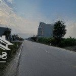 đầu ve hàng hiếm tại đông quang, đông sơn, thanh hóa, 1,75 tỷ, 194,5 m2