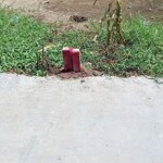 Bán đất hẻm đường trần minh châu, p5 tp tân an, long an