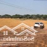 Bán đất nền 6000m2 tại hoàng hoa, tam dương, vĩnh phúc, chỉ với 36,5 tỷ vnd