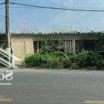 Bán đất đối diện chợ chiều tân thạnh đông củ chi, 343m2, 1,5tỷ