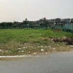 Chính chủ bán gấp đất mt đường tân thuận, trảng bàng, tây ninh, 430tr, 160m2, shr, gần chợ