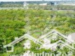 Bán đất lô góc đường 24m đã có sổ được xây ngay cạnh trường đại học tài chính ngân hàng giá tốt