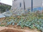Cực rẻ và hiếm 40m lệ chi , mt 4m = hậu , đường 3m , giá đầu tư 2 tỷ