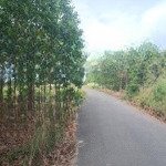 Bán đất 1500m2, 6,4 tỷ tại xã long an, long thành, đồng nai