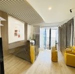 Hệ thống cho thuê căn hộ gần trung tâm, full nội thất, thang máy, gần công viên, phố bùi viện q1