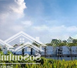 Nhiều năm bán biệt thự liền kề - tư vấn chuyên sâu dự án solasta mansion thông tin của chủ đầu tư