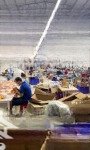 Kho xưởng 866m thuận giao 24 , thuận an , bình dương .
