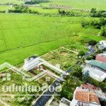Bán đất mặt đường liên xã diên thạnh