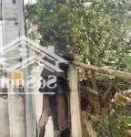Bán đất ngọc thuỵ tặng nhà 2 tầng, mặt phố, lô góc, ôtô ngủ trong nhà, chủ cần bán gấp, ae đầu tư