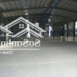 Cho thuê 100m2, 200m2, 300m2, 1000m2, 2000m2 kho xưởng tại thường tín