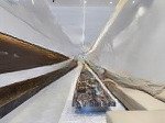 Chính chủ bán nhà đường số 160, tăng nhơn phú a, quận 9. giá tl