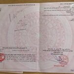 Chính chủ bán đất 2 mặt tiền nguyễn huy chương ( cách biển 200m ) ⭐⭐⭐⭐⭐⭐⭐