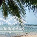 Siêu phẩm mặt biển tuy an - 2000m2 full đất ở - đường oto xe du lịch 52 chỗ - bám biển 35m