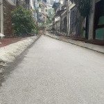 Bán nhà riêng phân lô kim ngưu - hai bà trưng ô tô tránh vỉa hè kinh doanh 55m2x5t