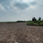 Cần bán đất phước khánh giá cực kì rẻ