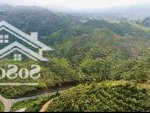 Hơn 1,75 ha thực tế hơn 2 ha, nguyên ngọn đồi trồng cà phê, 2 mặt tiền, đường nhựa 6m bằng phẳng