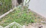 Bán đất 42m2 tại võng la, đông anh, hn, giá 3 tỷ gấp